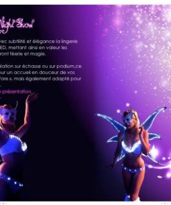 robots led papillons