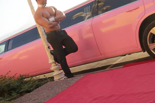 Stripteaseur limousine Paris